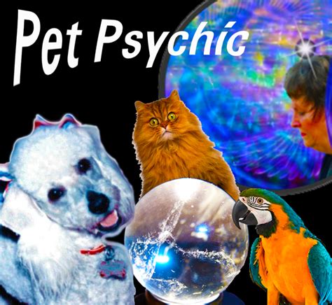 Animal psychic - Mediumship Private Readings As New Jersey’s foremost Psychic Medium I communicate with your heavenly family, friends, pets & Angels to deliver detailed insightful messages to help you with all aspects of your life. Pet Readings Heavenly/ Living As the premier ...